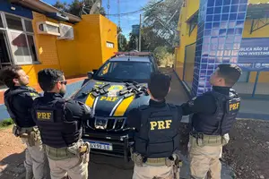 PRF apreende três fuzis escondidos em veículo na BR-316, em Picos (Foto: PRF)