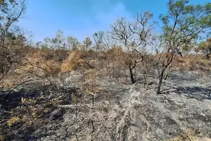 Queimadas avançam no sul do Piauí (Foto: ICMBIO)