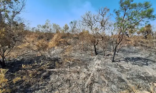 El Niño intensifica calor no Piauí e eleva risco de incêndios, alerta Semarh