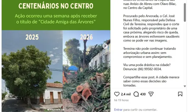 Corte de árvores reacende debate sobre falta de política de arborização em Teresina