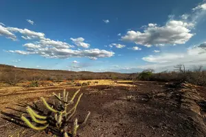 Seca no Piauí (Foto: Reprodução | Semarh)